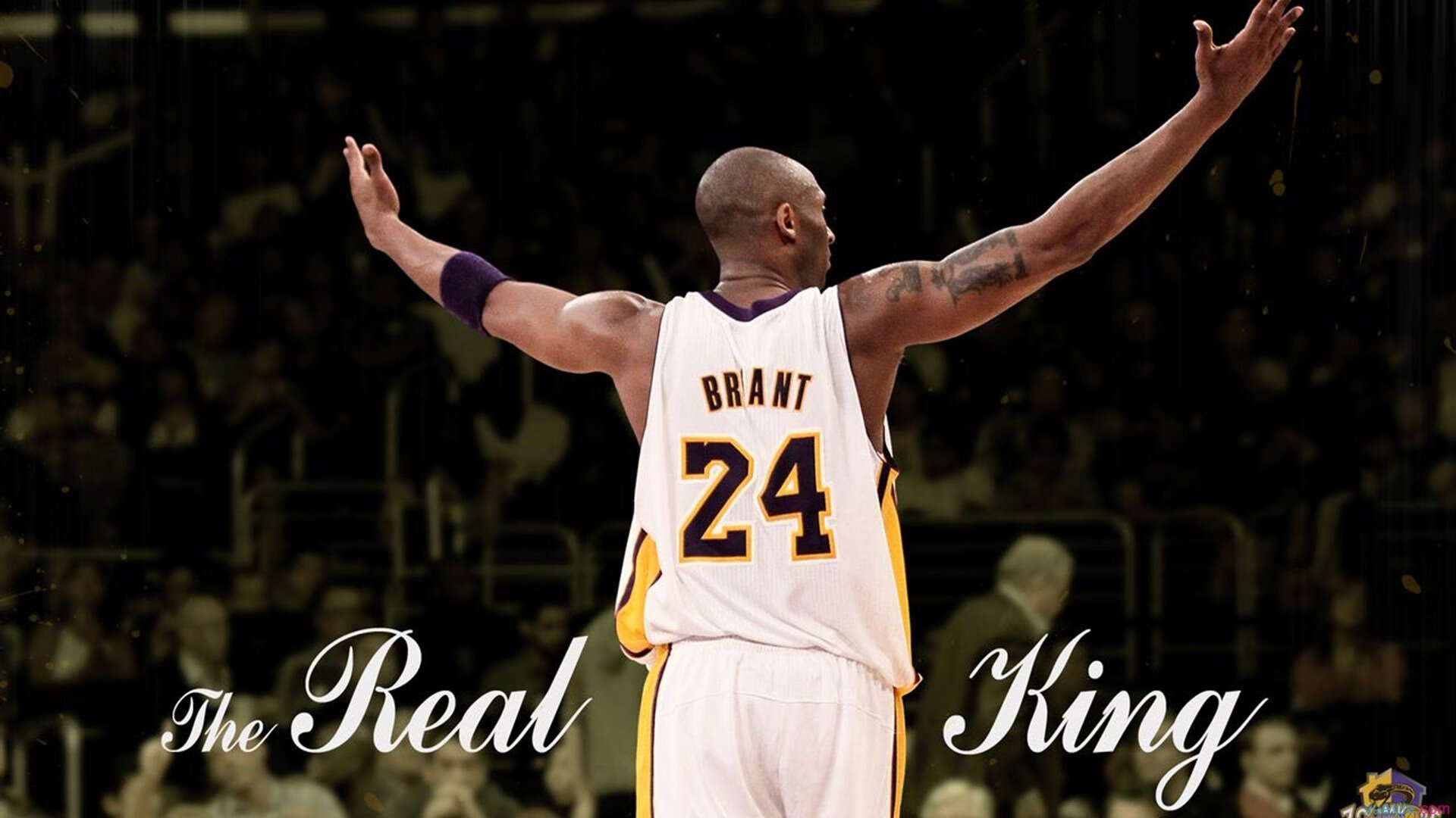 开云体育登录-塔图姆的冰火协奏曲，当爵士节奏遇上吉林虎啸，一剑封喉定乾坤