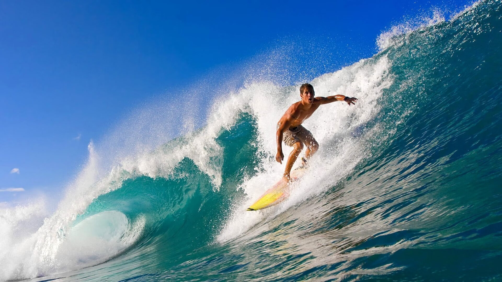 美加墨世界杯倒计时与NBA赛场风云,快船力克公牛背后的竞技启示